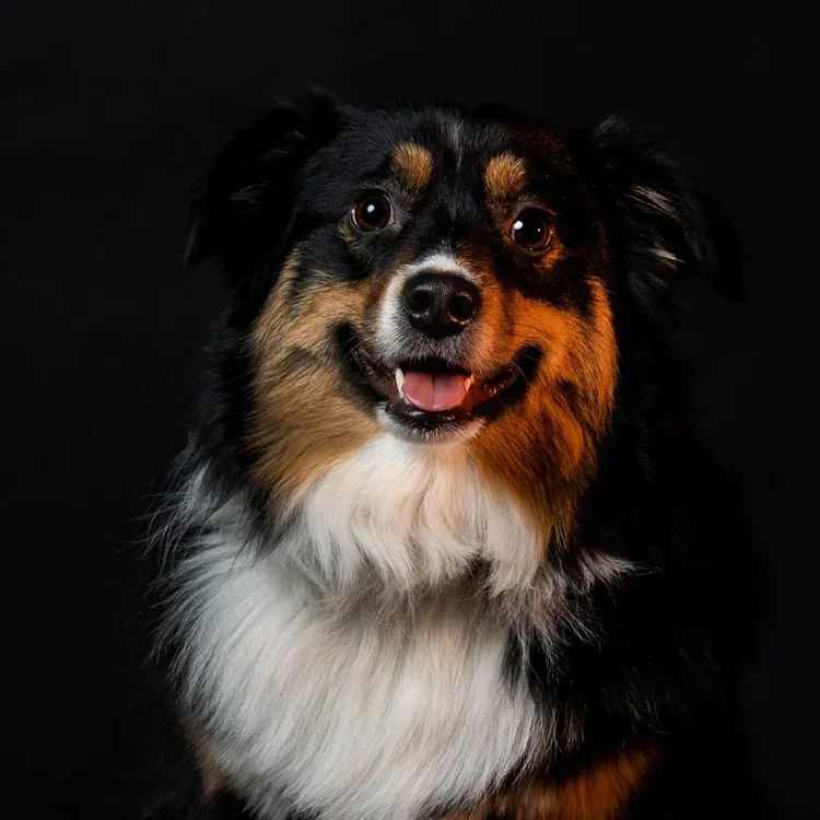 Sadie, Head of Security