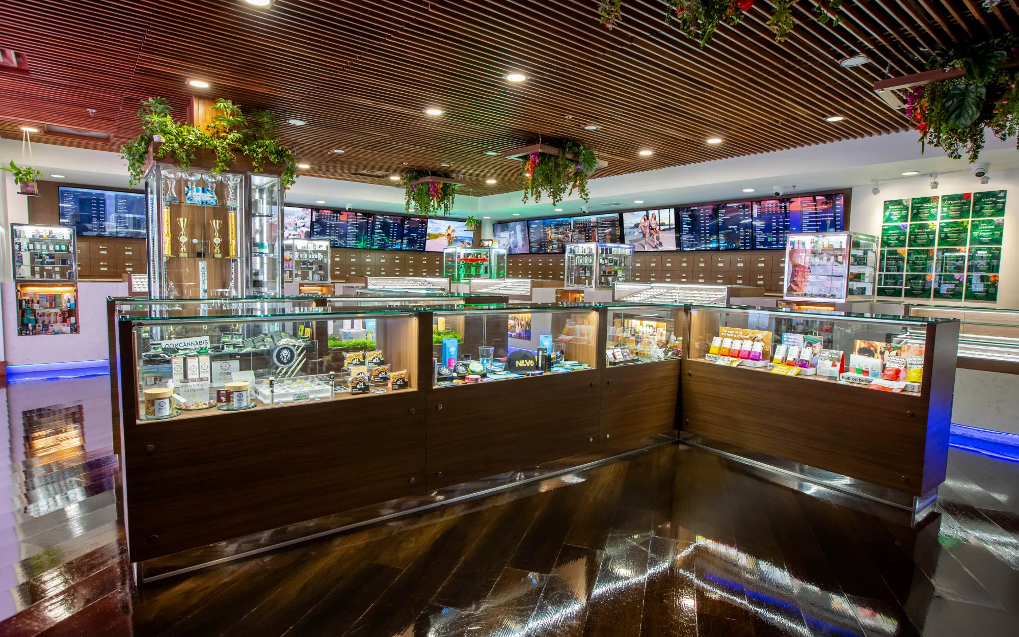 Billboard Campaign Photography for Jardín Cannabis Dispensary — image 5 of 6
